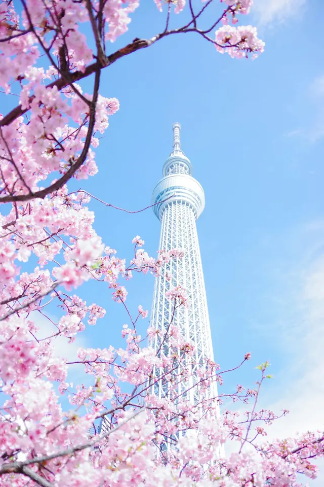 Tokyo landmark